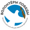 Волонтёры Победы
