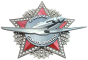 Крылатая память Победы